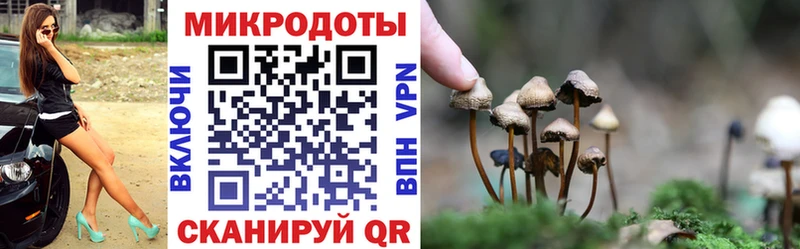 Галлюциногенные грибы мицелий Нестеров